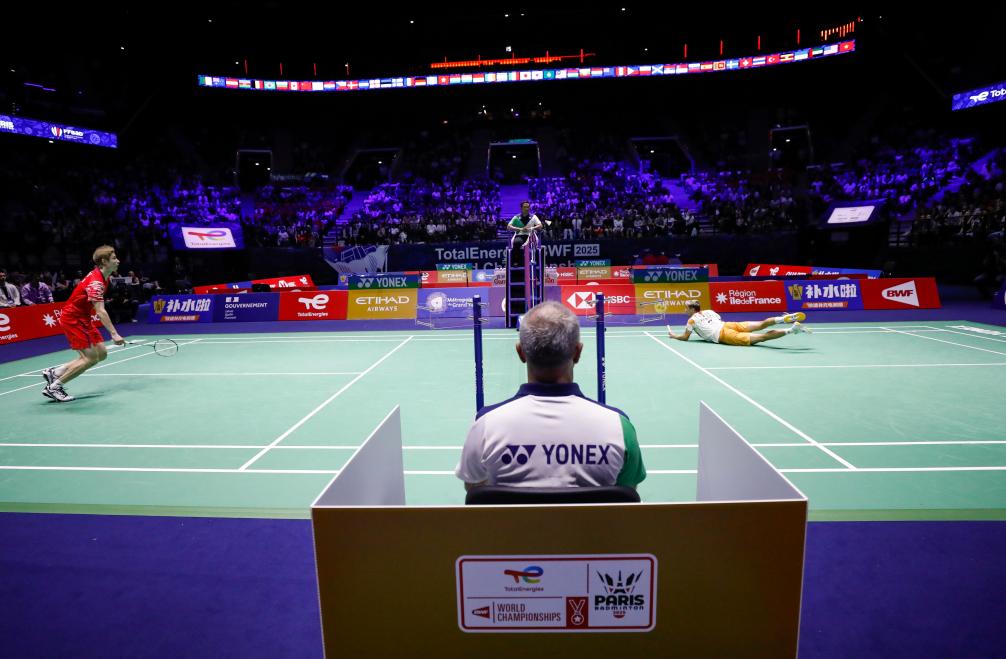 他们不仅需 他们不仅需