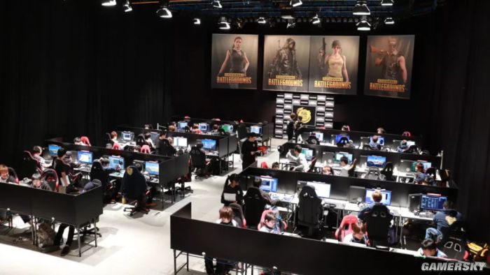 等自然嵌入 等自然嵌入