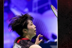 一个全新领 一个全新领