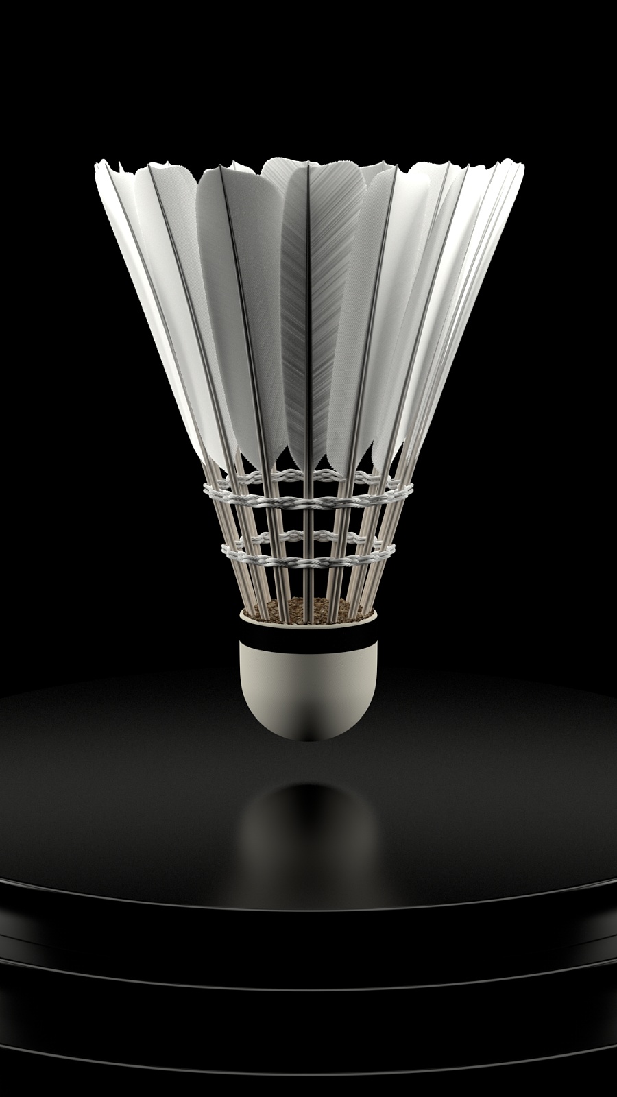 速引发球迷 速引发球迷